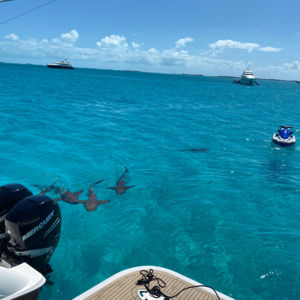 Meet your Posher, Kaymin